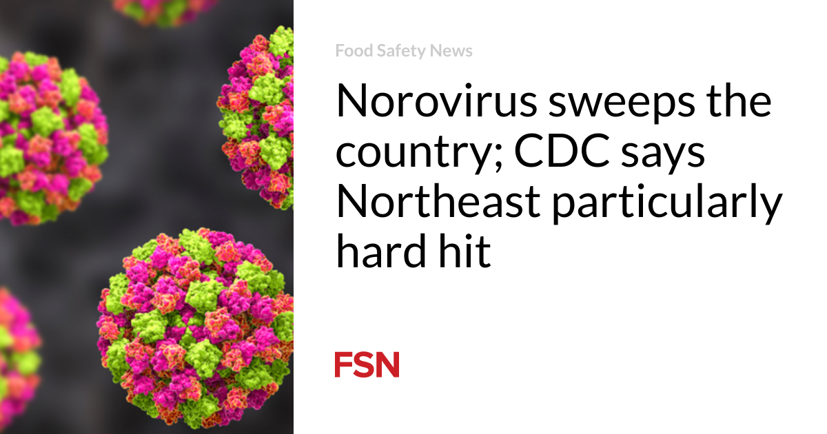 Norovirus sweeps the country; CDC says Northeast particularly hard hit