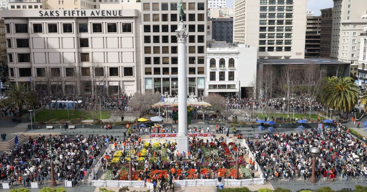 San Francisco tulip display draws thousands downtown