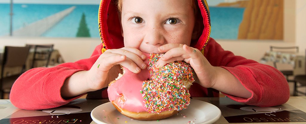 Still Hungry After a Big Meal? The Trigger Could Be in The Brain : ScienceAlert