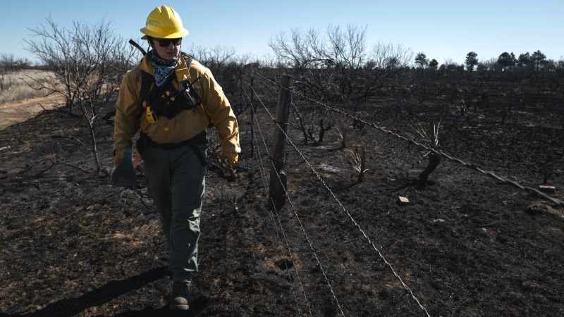 Texas wildfires: Firefighters battling ‘monster’ blaze contend with winds and heat as residents grapple with lost homes