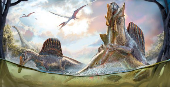 Paleontologists Find Flaws in Research Supporting Aquatic Pursuit Hunting in Spinosaurus