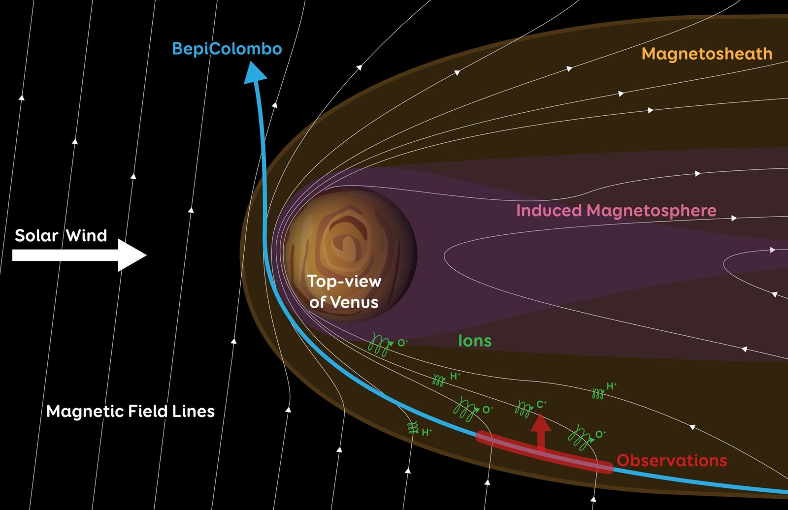 BepiColombo detects escaping oxygen and carbon in unexplored region of Venus’s magnetosphere