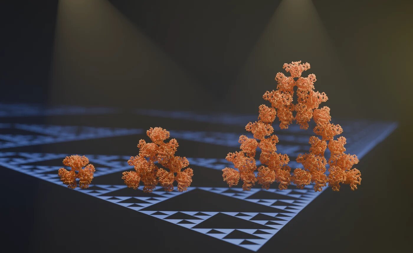 Discovery of the first fractal molecule in nature